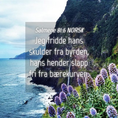 Picture 04 - Salmene 81:6 NORSK - Jeg fridde hans skulder fra byrden, hans hender - Bible Verse Picture