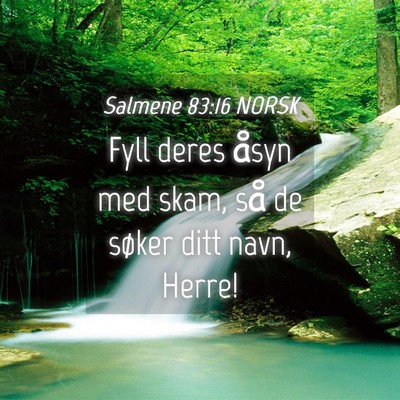 Picture 04 - Salmene 83:16 NORSK - Fyll deres åsyn med skam, så de søker ditt - Bible Verse Picture