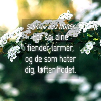 Picture 04 - Salmene 83:2 NORSK - For se, dine fiender larmer, og de som hater dig, - Bible Verse Picture