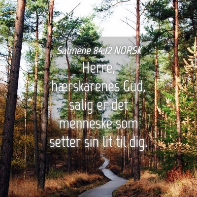 Picture 04 - Salmene 84:12 NORSK - Herre, hærskarenes Gud, salig er det menneske - Bible Verse Picture