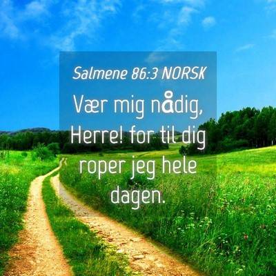 Picture 04 - Salmene 86:3 NORSK - Vær mig nådig, Herre! for til dig roper jeg - Bible Verse Picture