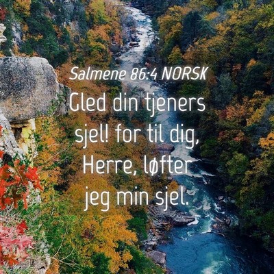 Picture 04 - Salmene 86:4 NORSK - Gled din tjeners sjel! for til dig, Herre, - Bible Verse Picture