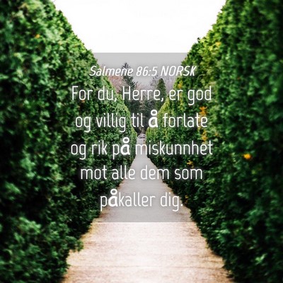 Picture 04 - Salmene 86:5 NORSK - For du, Herre, er god og villig til å forlate og - Bible Verse Picture