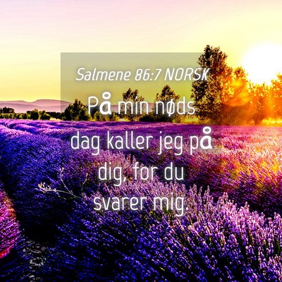 Picture 04 - Salmene 86:7 NORSK - På min nøds dag kaller jeg på dig, for du - Bible Verse Picture