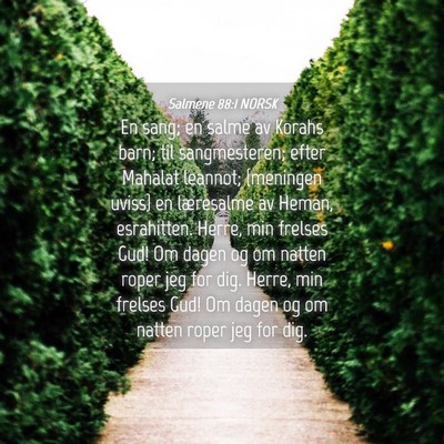Picture 04 - Salmene 88:1 NORSK - En sang; en salme av Korahs barn; til - Bible Verse Picture