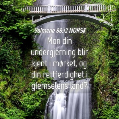 Picture 04 - Salmene 88:12 NORSK - Mon din undergjerning blir kjent i mørket, og - Bible Verse Picture