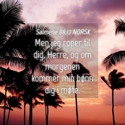 Picture 04 - Salmene 88:13 NORSK - Men jeg roper til dig, Herre, og om morgenen - Bible Verse Picture