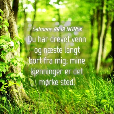 Picture 04 - Salmene 88:18 NORSK - Du har drevet venn og næste langt bort fra mig; - Bible Verse Picture