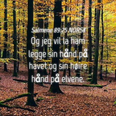 Picture 04 - Salmene 89:25 NORSK - Og jeg vil la ham legge sin hånd på havet og - Bible Verse Picture