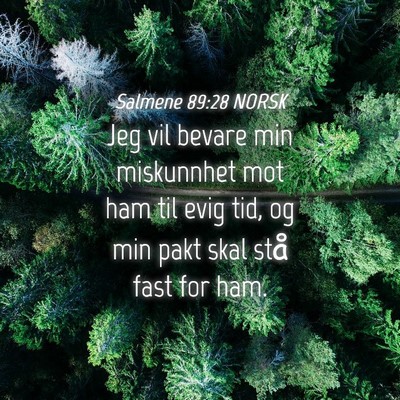 Picture 04 - Salmene 89:28 NORSK - Jeg vil bevare min miskunnhet mot ham til evig - Bible Verse Picture