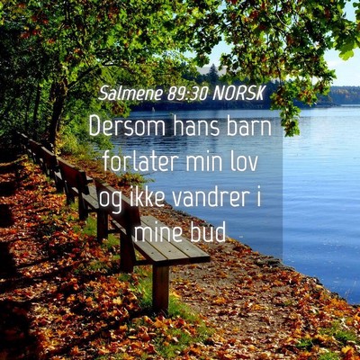 Picture 04 - Salmene 89:30 NORSK - Dersom hans barn forlater min lov og ikke vandrer - Bible Verse Picture