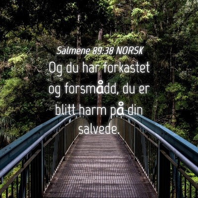 Picture 04 - Salmene 89:38 NORSK - Og du har forkastet og forsmådd, du er blitt - Bible Verse Picture