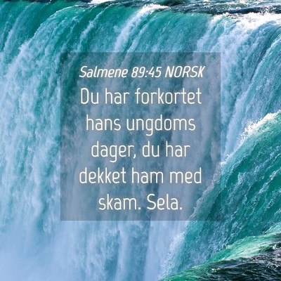 Picture 04 - Salmene 89:45 NORSK - Du har forkortet hans ungdoms dager, du har - Bible Verse Picture