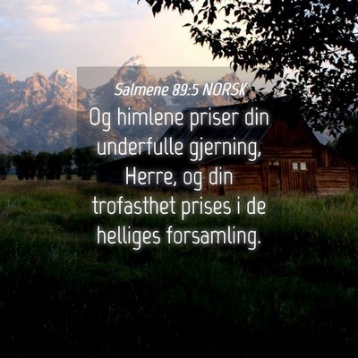 Picture 04 - Salmene 89:5 NORSK - Og himlene priser din underfulle gjerning, Herre, - Bible Verse Picture