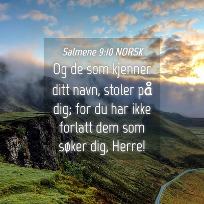 Picture 04 - Salmene 9:10 NORSK - Og de som kjenner ditt navn, stoler på dig; for - Bible Verse Picture