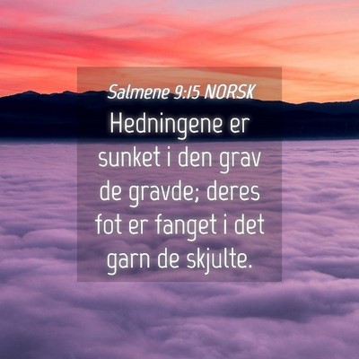 Picture 04 - Salmene 9:15 NORSK - Hedningene er sunket i den grav de gravde; deres - Bible Verse Picture