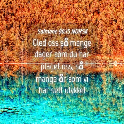 Picture 04 - Salmene 90:15 NORSK - Gled oss så mange dager som du har plaget oss, - Bible Verse Picture