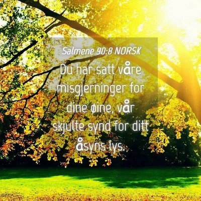 Picture 04 - Salmene 90:8 NORSK - Du har satt våre misgjerninger for dine øine, - Bible Verse Picture