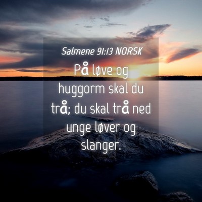 Picture 04 - Salmene 91:13 NORSK - På løve og huggorm skal du trå; du skal trå - Bible Verse Picture