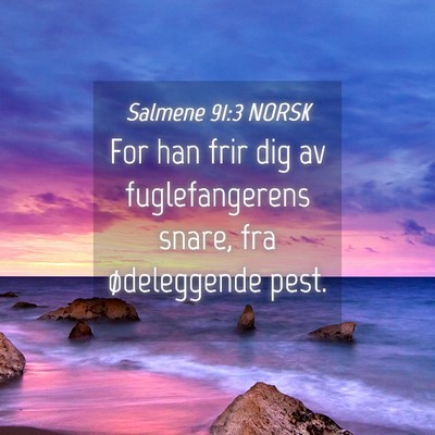 Picture 04 - Salmene 91:3 NORSK - For han frir dig av fuglefangerens snare, fra - Bible Verse Picture