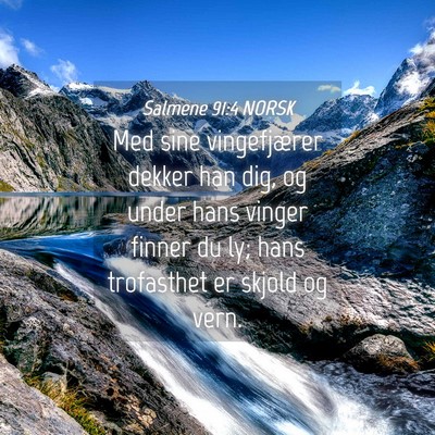 Picture 04 - Salmene 91:4 NORSK - Med sine vingefjærer dekker han dig, og under - Bible Verse Picture