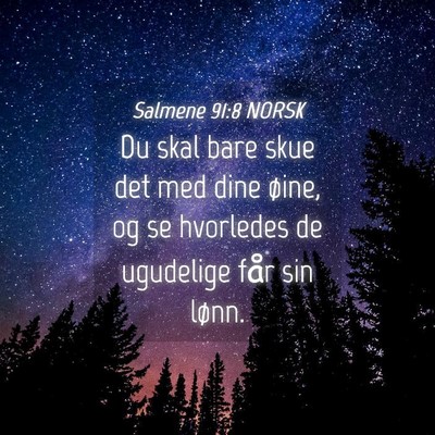 Picture 04 - Salmene 91:8 NORSK - Du skal bare skue det med dine øine, og se - Bible Verse Picture