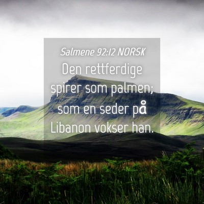 Picture 04 - Salmene 92:12 NORSK - Den rettferdige spirer som palmen; som en seder - Bible Verse Picture