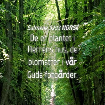 Picture 04 - Salmene 92:13 NORSK - De er plantet i Herrens hus, de blomstrer i vår - Bible Verse Picture