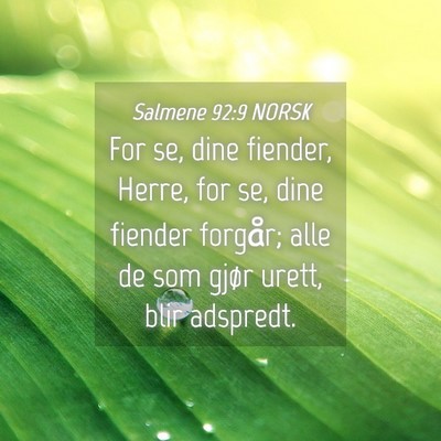 Picture 04 - Salmene 92:9 NORSK - For se, dine fiender, Herre, for se, dine fiender - Bible Verse Picture