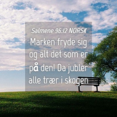 Picture 04 - Salmene 96:12 NORSK - Marken fryde sig og alt det som er på den! Da - Bible Verse Picture