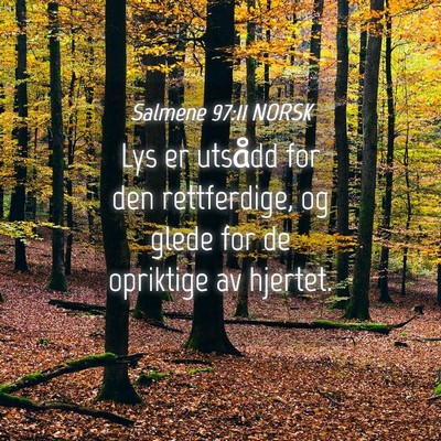 Picture 04 - Salmene 97:11 NORSK - Lys er utsådd for den rettferdige, og glede for - Bible Verse Picture