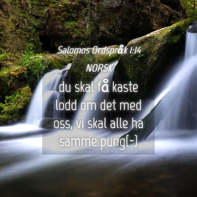 Picture 04 - Salomos Ordspråk 1:14 NORSK - du skal få kaste lodd om det med oss, vi skal - Bible Verse Picture