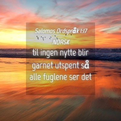 Picture 04 - Salomos Ordspråk 1:17 NORSK - til ingen nytte blir garnet utspent så alle - Bible Verse Picture