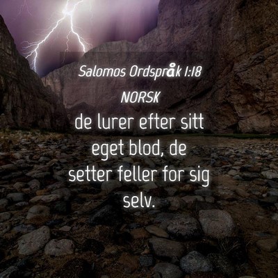 Picture 04 - Salomos Ordspråk 1:18 NORSK - de lurer efter sitt eget blod, de setter feller - Bible Verse Picture
