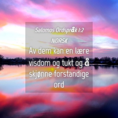 Picture 04 - Salomos Ordspråk 1:2 NORSK - Av dem kan en lære visdom og tukt og å skjønne - Bible Verse Picture