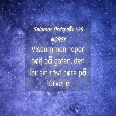 Picture 04 - Salomos Ordspråk 1:20 NORSK - Visdommen roper høit på gaten, den lar sin - Bible Verse Picture