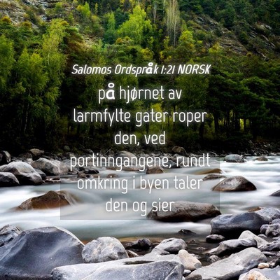 Picture 04 - Salomos Ordspråk 1:21 NORSK - på hjørnet av larmfylte gater roper den, ved - Bible Verse Picture