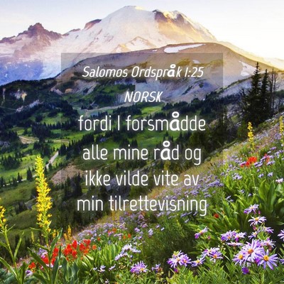 Picture 04 - Salomos Ordspråk 1:25 NORSK - fordi I forsmådde alle mine råd og ikke vilde - Bible Verse Picture