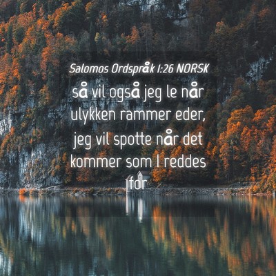 Picture 04 - Salomos Ordspråk 1:26 NORSK - så vil også jeg le når ulykken rammer eder, - Bible Verse Picture