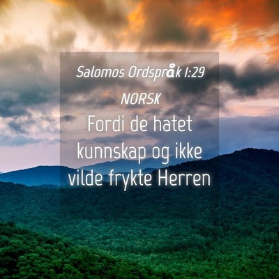 Picture 04 - Salomos Ordspråk 1:29 NORSK - Fordi de hatet kunnskap og ikke vilde frykte - Bible Verse Picture