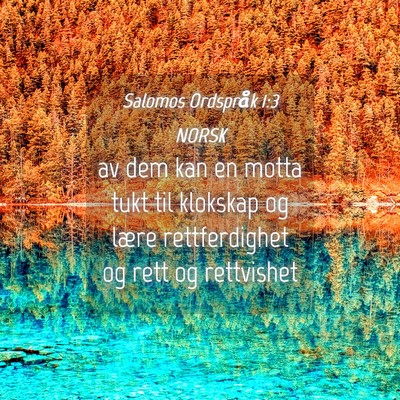 Picture 04 - Salomos Ordspråk 1:3 NORSK - av dem kan en motta tukt til klokskap og lære - Bible Verse Picture