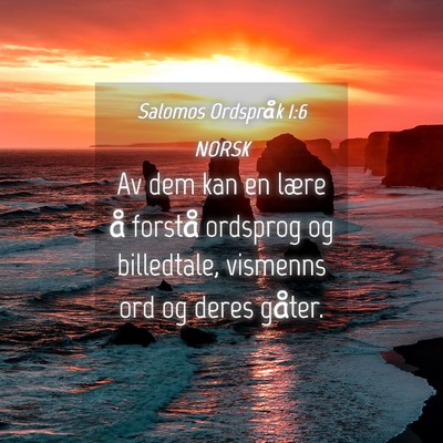 Picture 04 - Salomos Ordspråk 1:6 NORSK - Av dem kan en lære å forstå ordsprog og - Bible Verse Picture