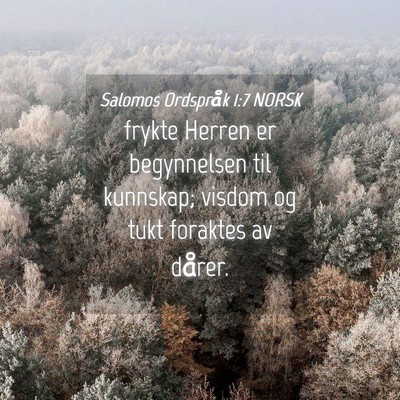 Picture 04 - Salomos Ordspråk 1:7 NORSK - frykte Herren er begynnelsen til kunnskap; visdom - Bible Verse Picture