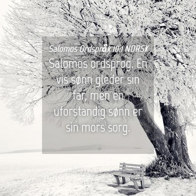 Picture 04 - Salomos Ordspråk 10:1 NORSK - Salomos ordsprog. En vis sønn gleder sin far, - Bible Verse Picture