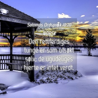 Picture 04 - Salomos Ordspråk 10:20 NORSK - Den rettferdiges tunge er som utsøkt sølv; de - Bible Verse Picture