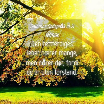 Picture 04 - Salomos Ordspråk 10:21 NORSK - Den rettferdiges leber nærer mange, men dårer - Bible Verse Picture