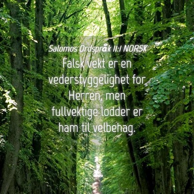 Picture 04 - Salomos Ordspråk 11:1 NORSK - Falsk vekt er en vederstyggelighet for Herren, - Bible Verse Picture