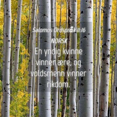 Picture 04 - Salomos Ordspråk 11:16 NORSK - En yndig kvinne vinner ære, og voldsmenn vinner - Bible Verse Picture