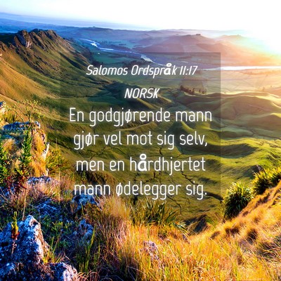 Picture 04 - Salomos Ordspråk 11:17 NORSK - En godgjørende mann gjør vel mot sig selv, men - Bible Verse Picture