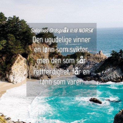 Picture 04 - Salomos Ordspråk 11:18 NORSK - Den ugudelige vinner en lønn som svikter, men - Bible Verse Picture